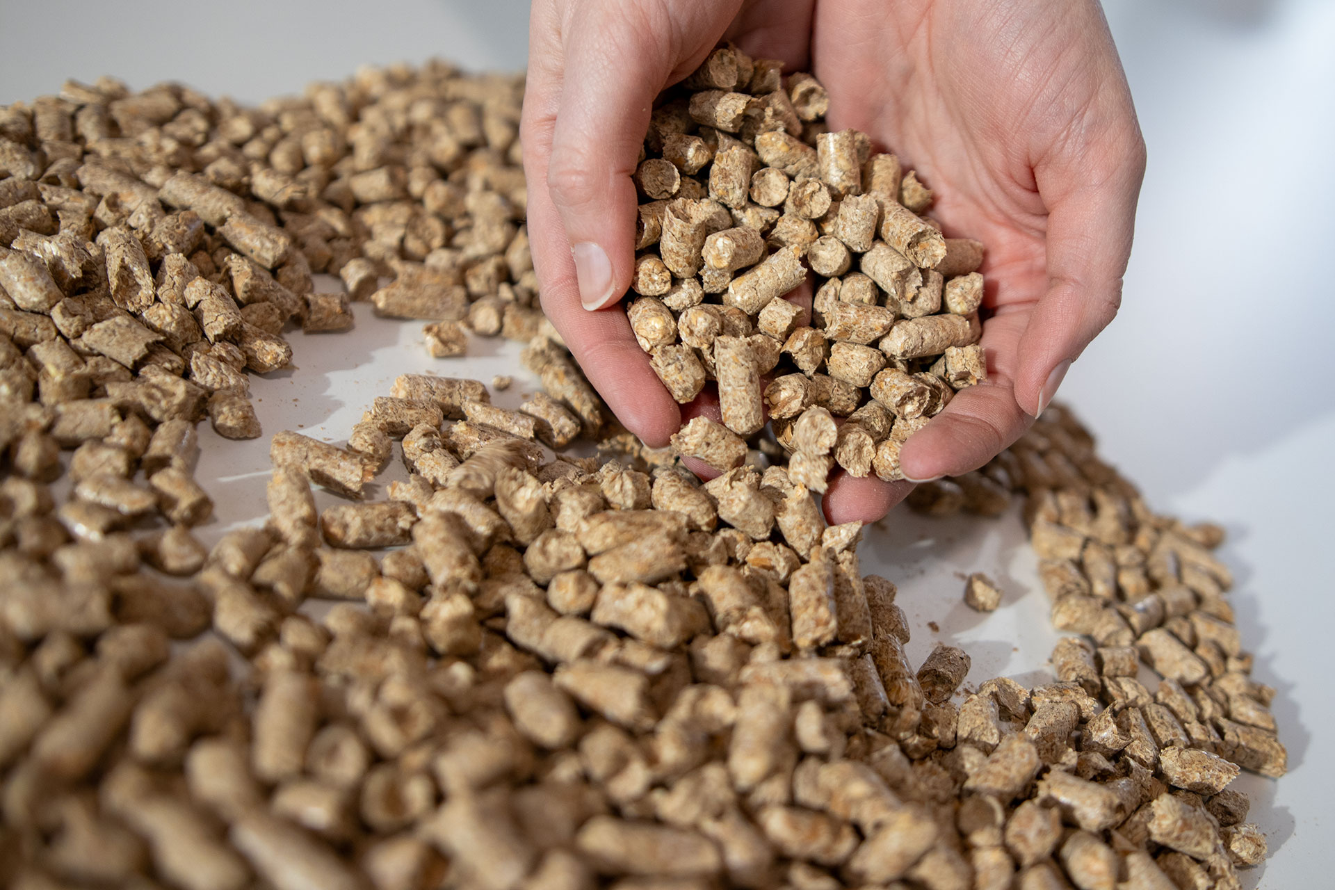 Dinkelspelzenpellets
