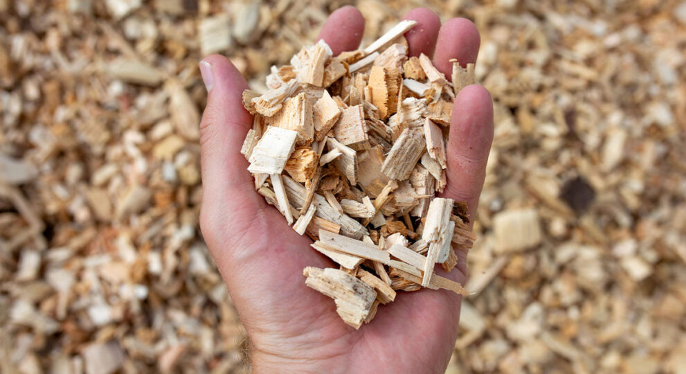 BRÜNING GROUP UND GRÜNWÄRME GMBH: ERFOLGREICHE VOLLVERSORGUNG