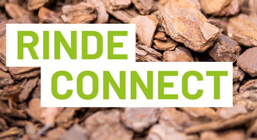 RINDE CONNECT: MEET & GREET IN MÖLLN