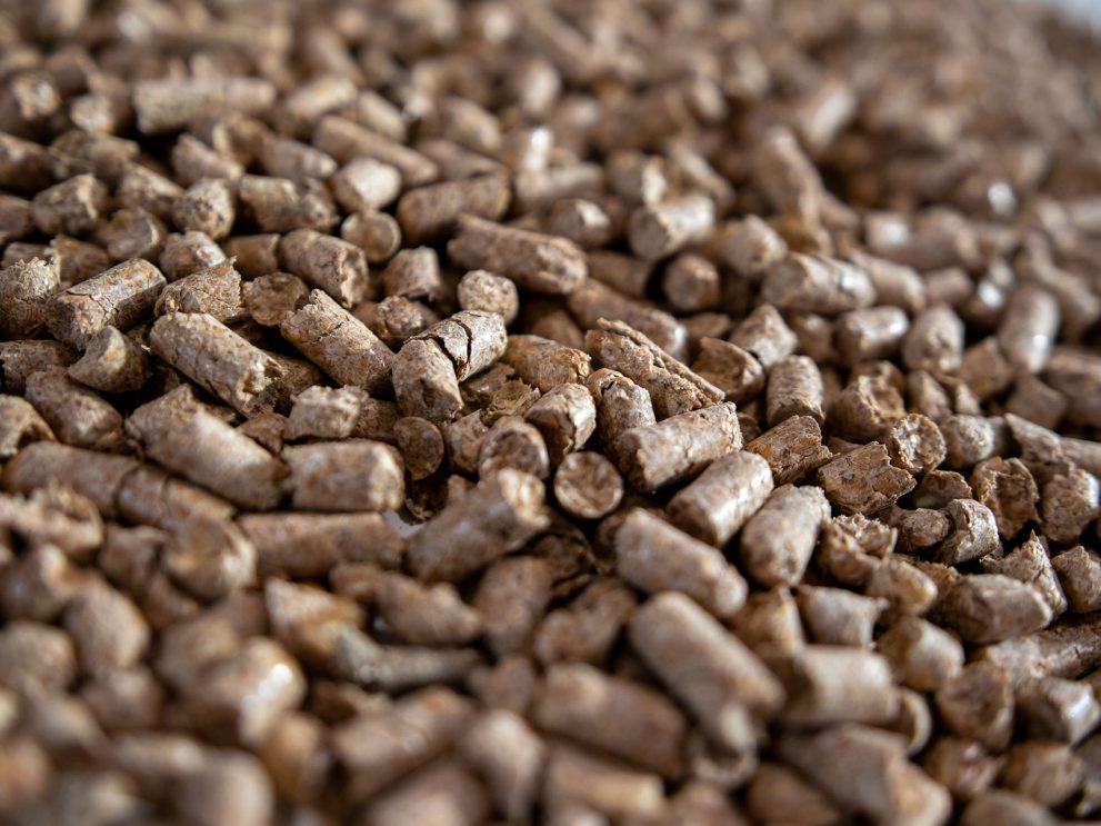 Dinkelspelzenpellets lose