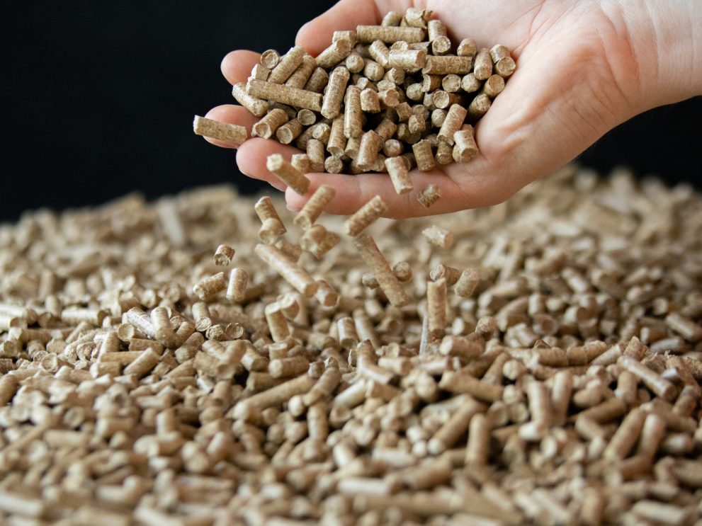 Holzpellets