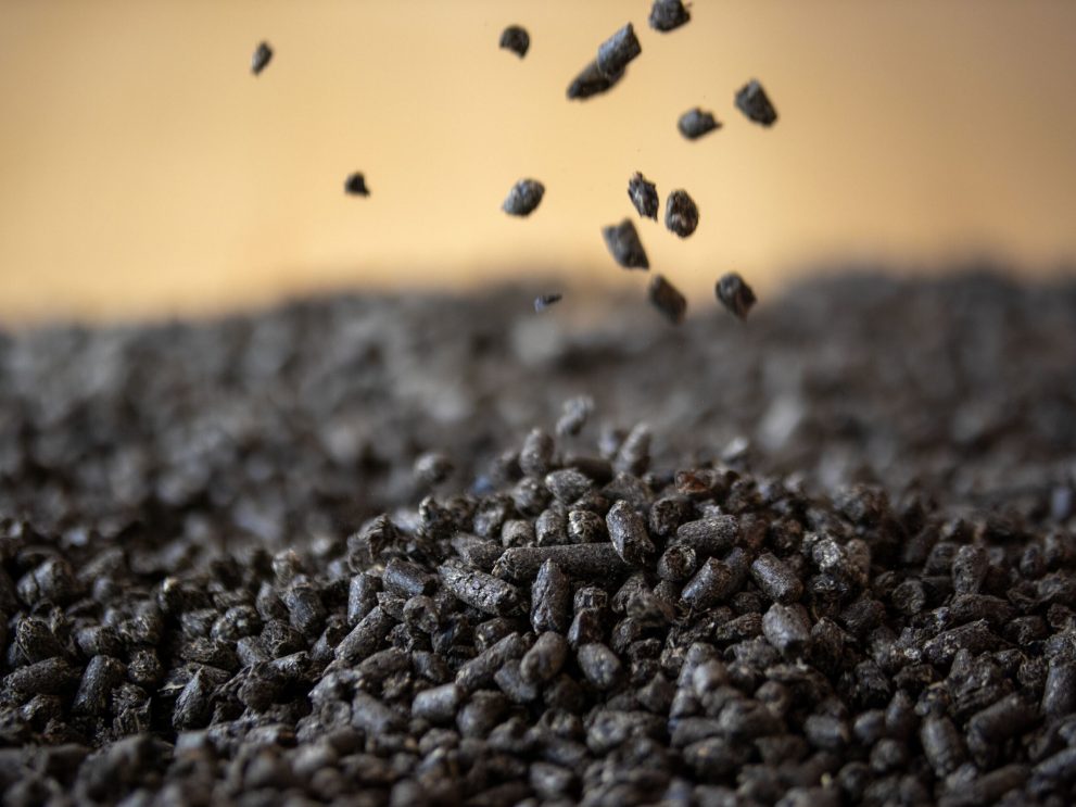 Sonnenblumenschalenpellets